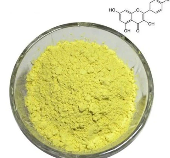 Organic Quercetin