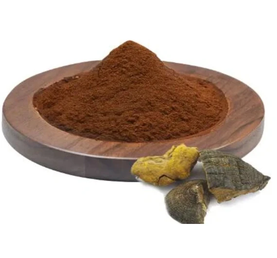 Phellinus Linteus Extract
