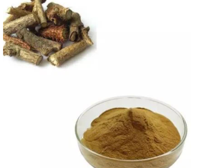 eleuthero root extract powder eleuthero root extract powder