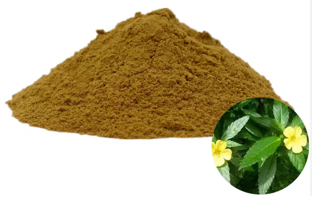 Damiana leaf extract Damiana leaf extract