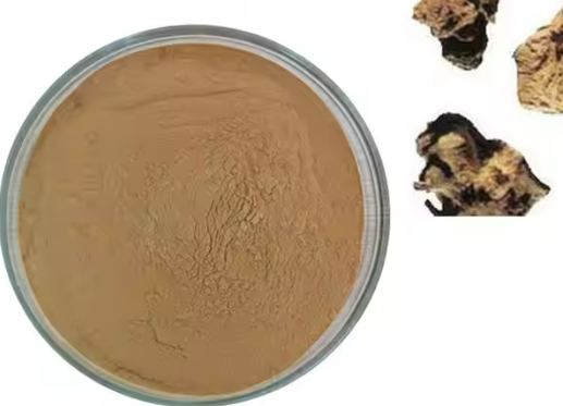 Smilax Root Extract Smilax Root Extract