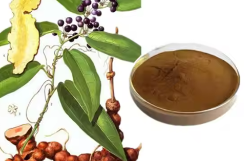 Smilax Root Extract-1 Smilax Root Extract-1
