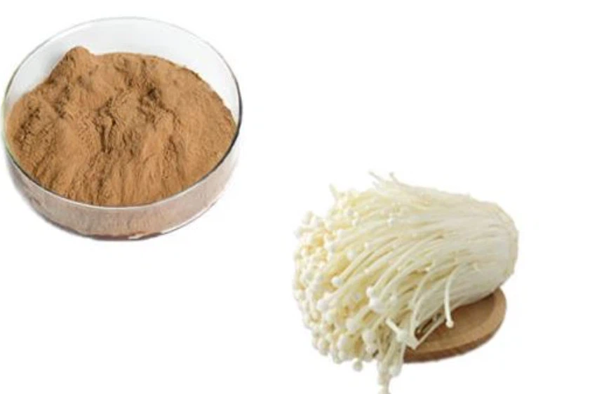 Lily Mushroom Extract-1 Lily Mushroom Extract-1