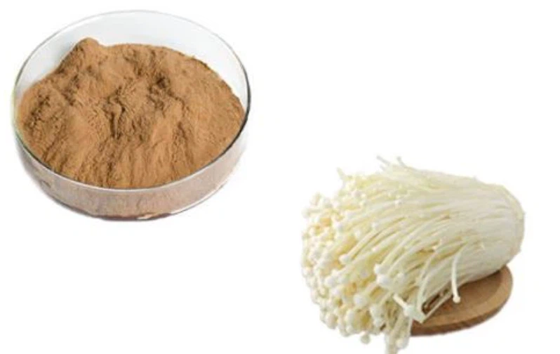 Lily Mushroom Extract powder Lily Mushroom Extract powder