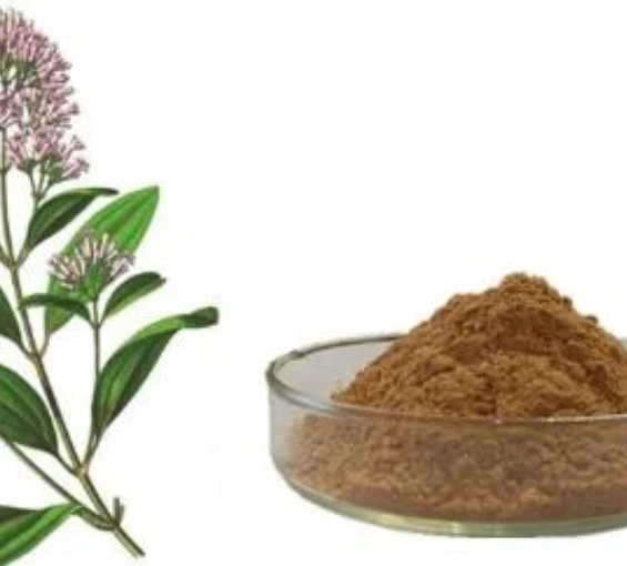 Quinine Bark Powder