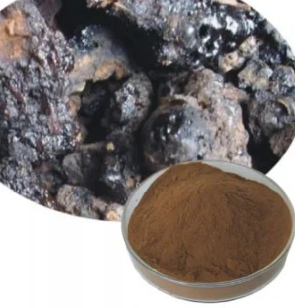 Raw Shilajit Powder