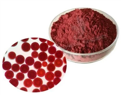 Astaxanthin Haematococcus Pluvialis