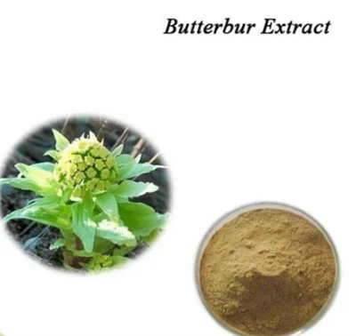 Butterbur Extract
