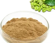 Chlorogenic Acid Green Coffee Extract