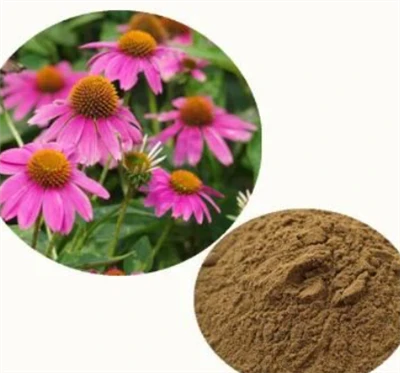 Coneflower Powder