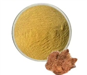 Corn Silk Extract Powder