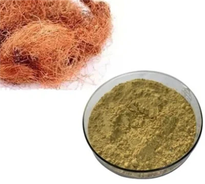 Corn Silk Extract