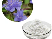 Cyanotis Arachnoidea Extract