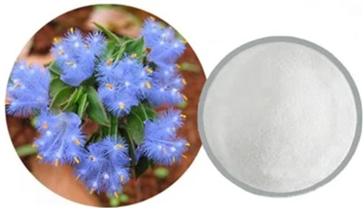 Ecdysteroids