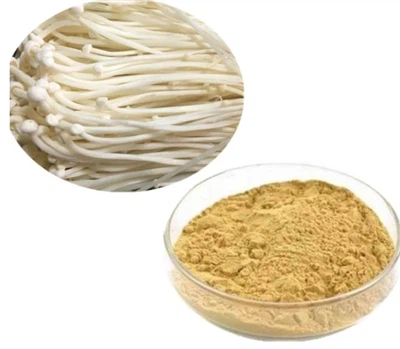 Enoki Mushroom Extract