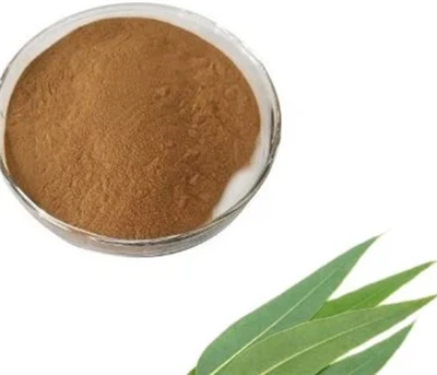 Eucalyptus Extract