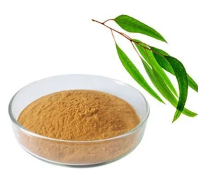 Eucalyptus Powder