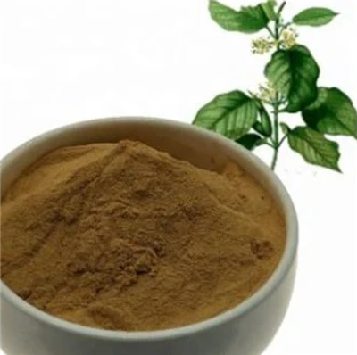 Gymnema Sylvestre Extract