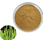 Horsetail Grass Extract