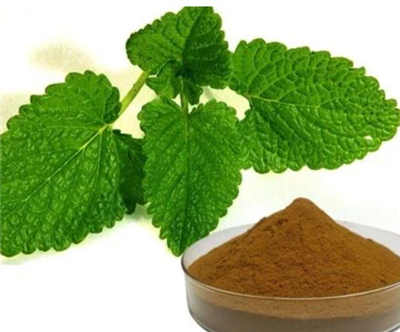 Melissa Leaf Extract
