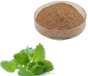 Melissa Officinalis Lemon Balm Leaf Extract