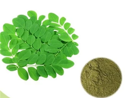 Moringa Leaf Extract
