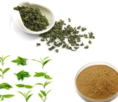 Oolong Tea Powder