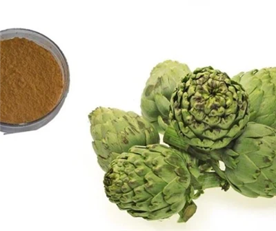Organic Artichoke Extract