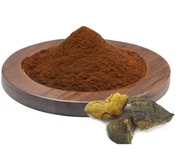 Phellinus Linteus Extract