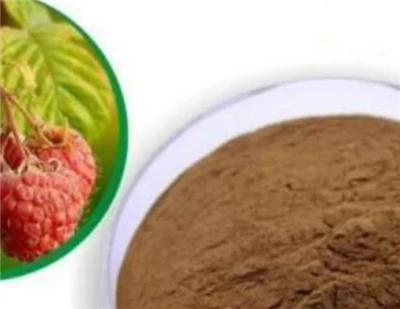 Raspberry Seed Powder