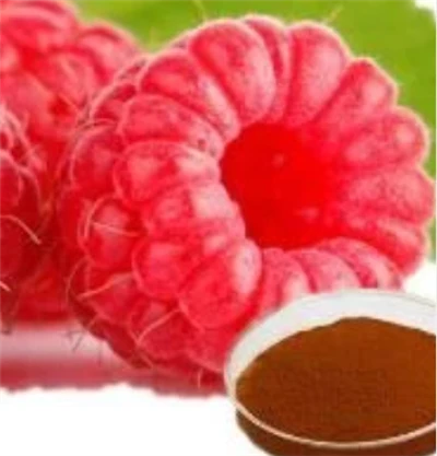 Red Raspberry Extract
