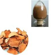 Sarsaparilla Powder