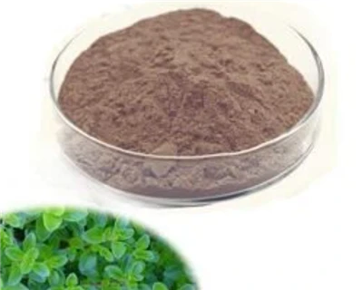 Thyme Powder