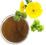 Tribulus Terrestris Powder