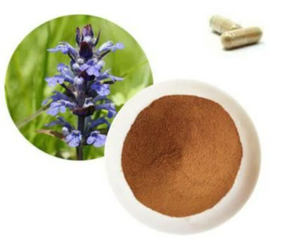 Turkesterone Powder
