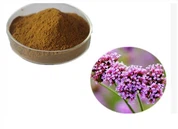 Verbena Extract