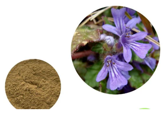 Turkesterone